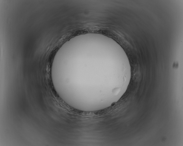 X0000093530866200710121147
