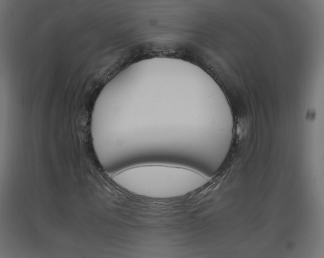 X0000093530867200710121147