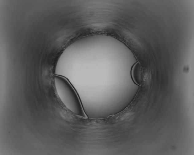 X0000093530868200710121147