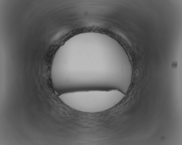 X0000093530869200710121147