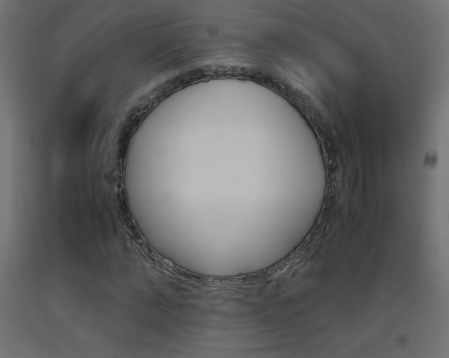 X0000093530870200710121147