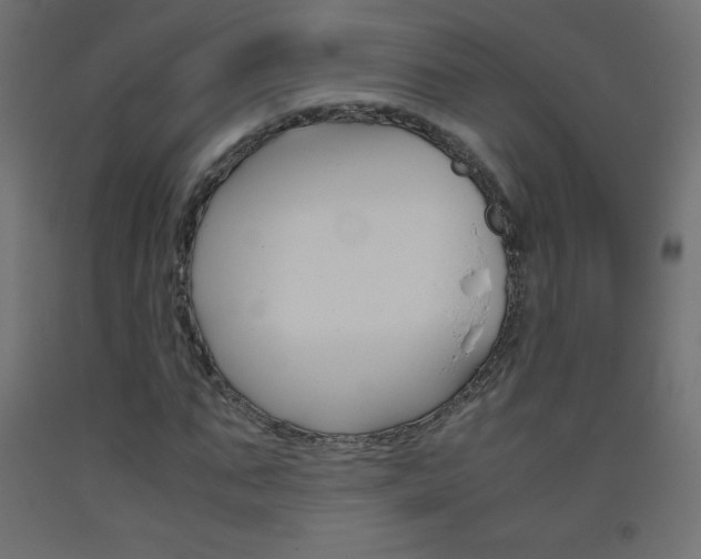 X0000093530871200710121147