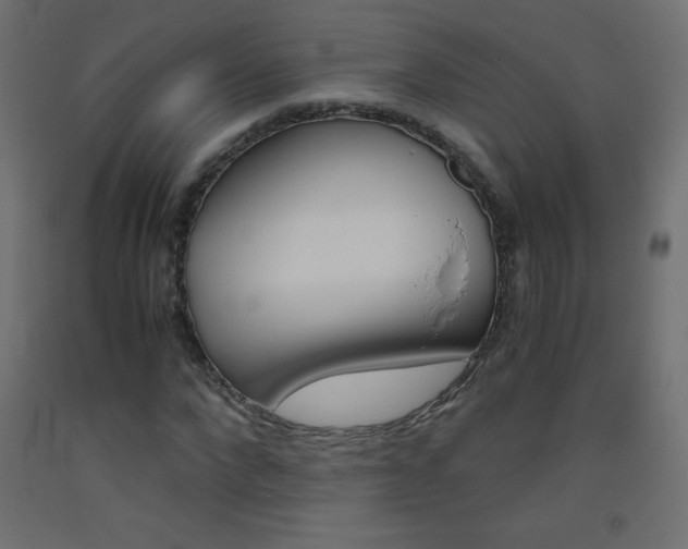 X0000093530872200710121147