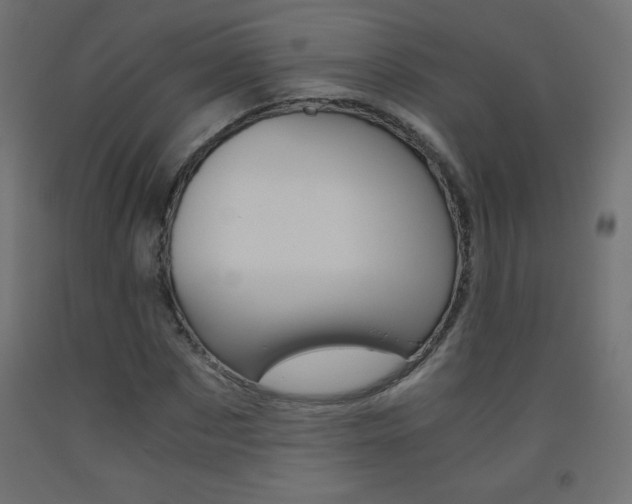 X0000093530873200710121147
