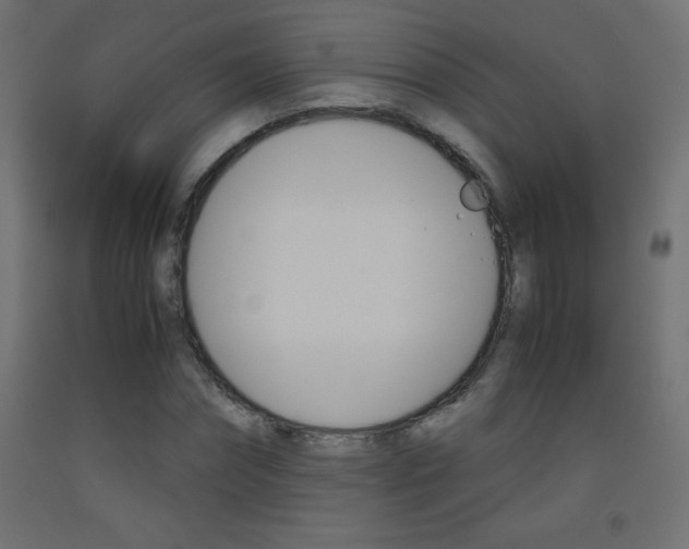 X0000093530874200710121147