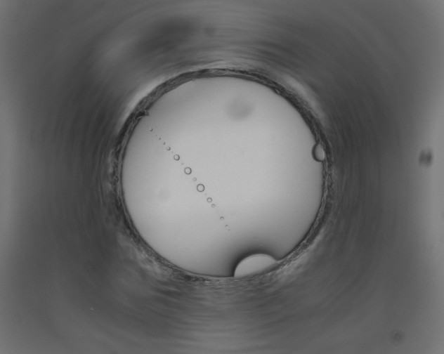 X0000093530875200710121147