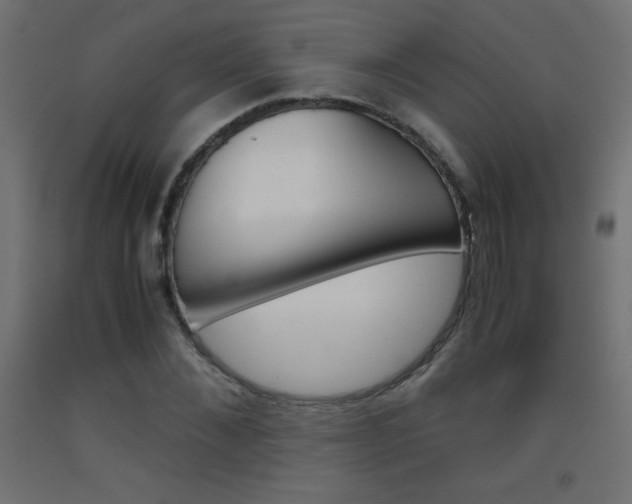 X0000093530876200710121147