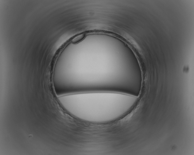 X0000093530877200710121147