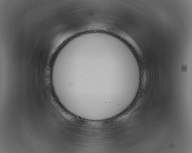 X0000093530878200710121147