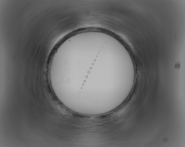 X0000093530879200710121147
