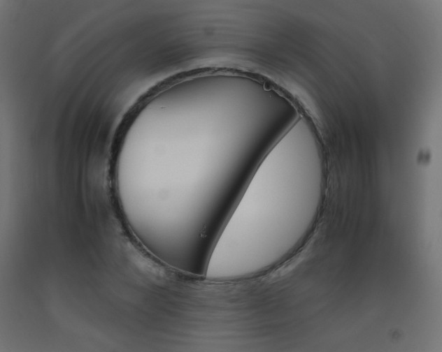 X0000093530880200710121147