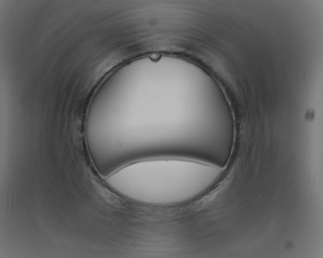 X0000093530881200710121147