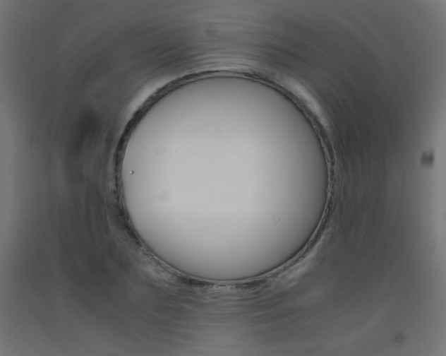 X0000093530883200710121147