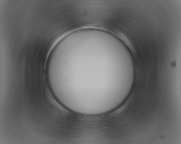 X0000093530884200710121147