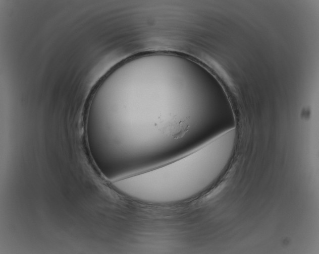 X0000093530885200710121147