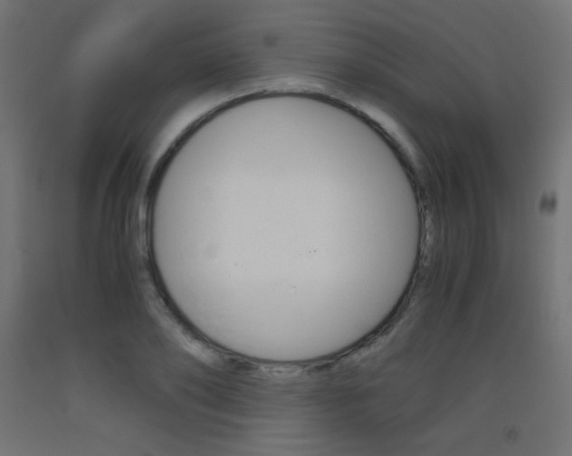 X0000093530886200710121147