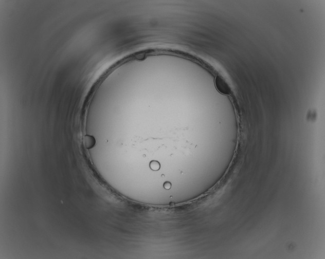 X0000093530887200710121147