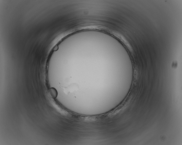 X0000093530890200710121147