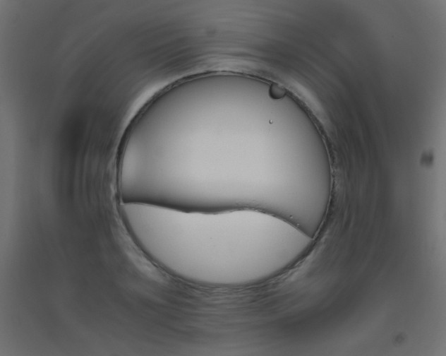 X0000093530891200710121146