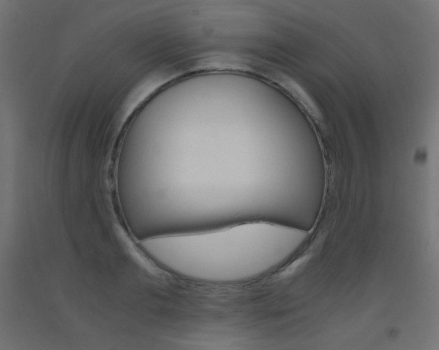 X0000093530893200710121146