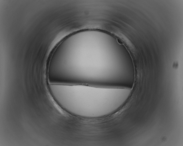 X0000093530894200710121146