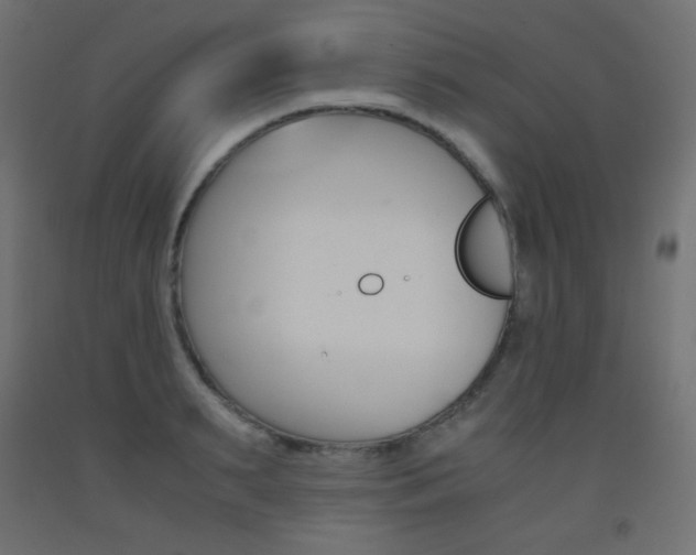 X0000093530895200710121146