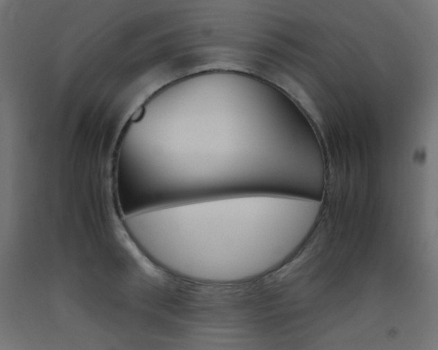 X0000093530898200710121146