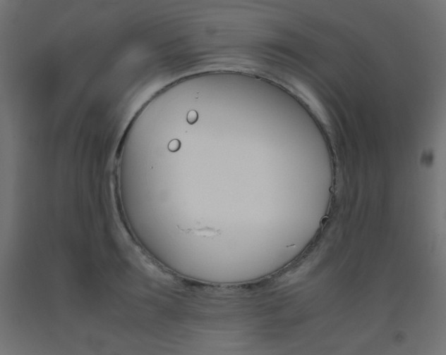 X0000093530899200710121146