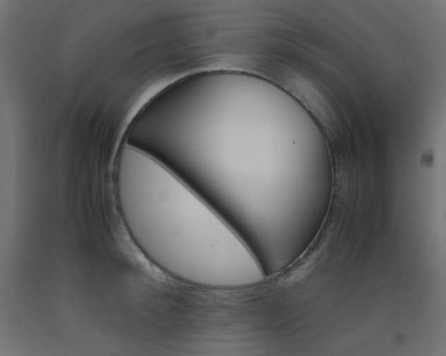 X0000093530900200710121146