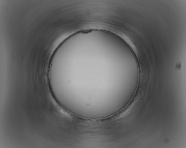 X0000093530901200710121146