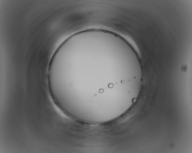 X0000093530903200710121146