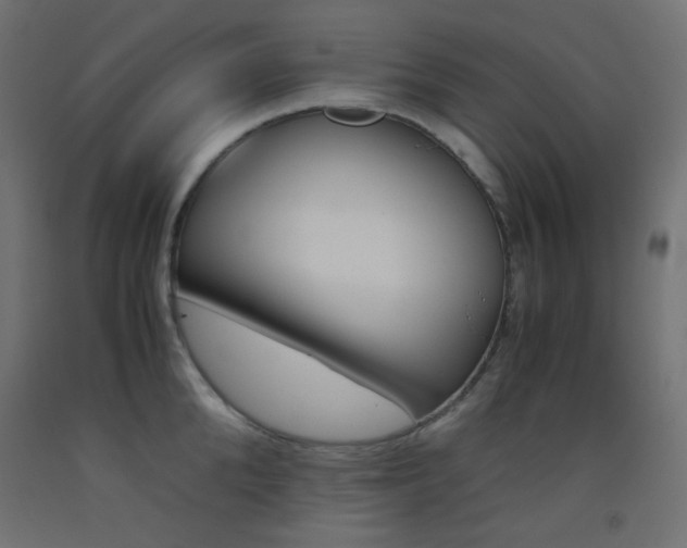 X0000093530904200710121146