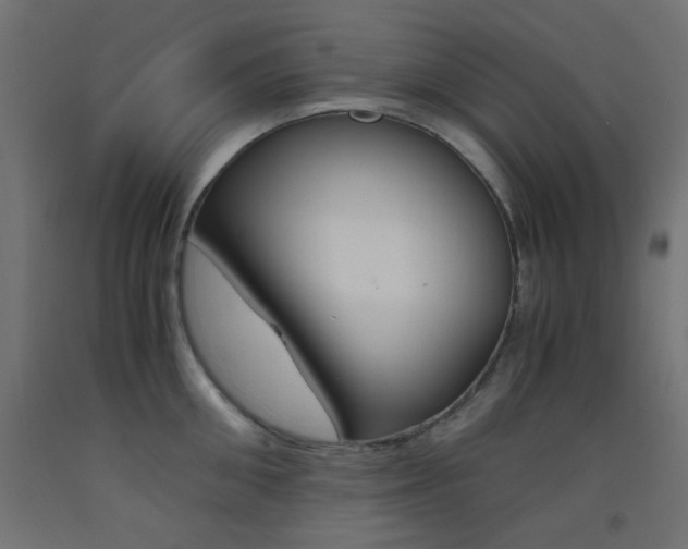 X0000093530906200710121146