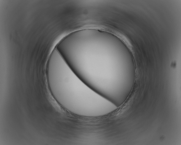 X0000093530907200710121146