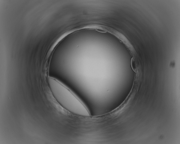 X0000093530908200710121146