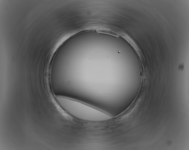 X0000093530909200710121146