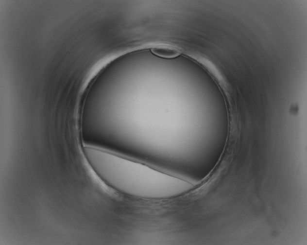 X0000093530910200710121146