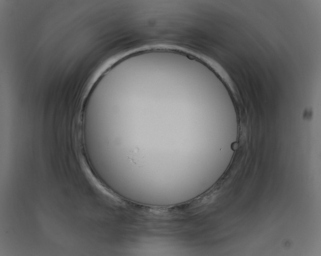 X0000093530911200710121146