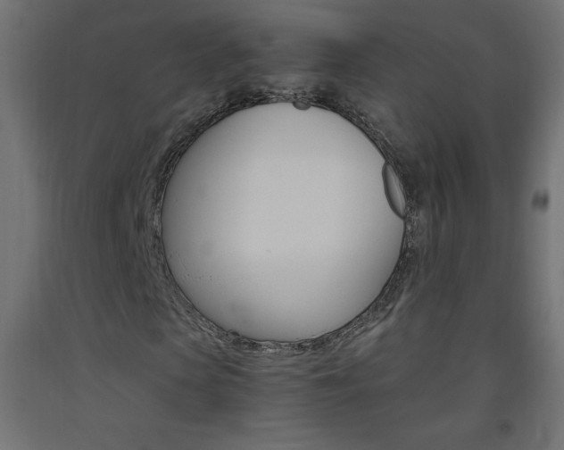X0000093530913200710121146