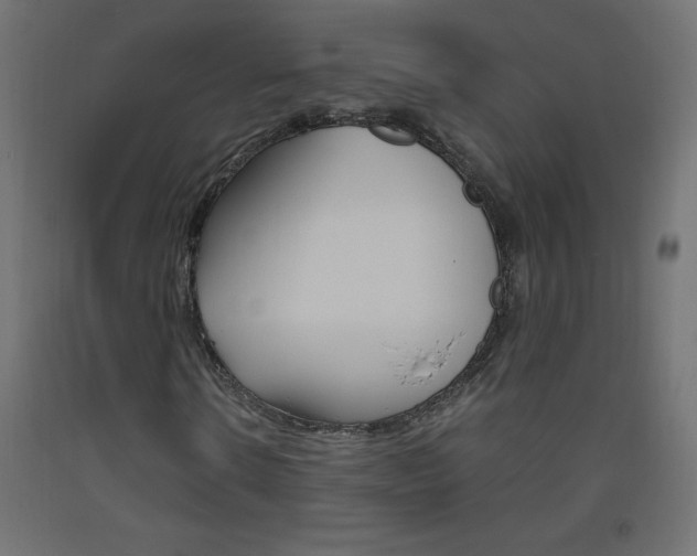 X0000093530914200710121146
