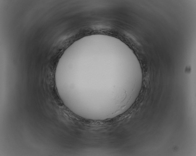 X0000093530917200710121146