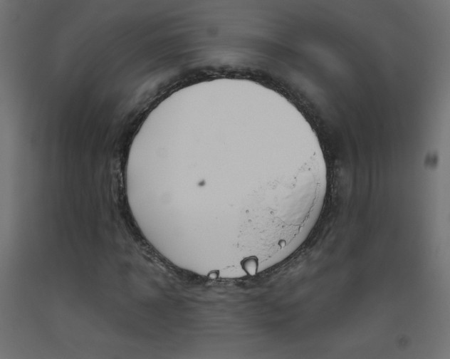 X0000093530918200710121146