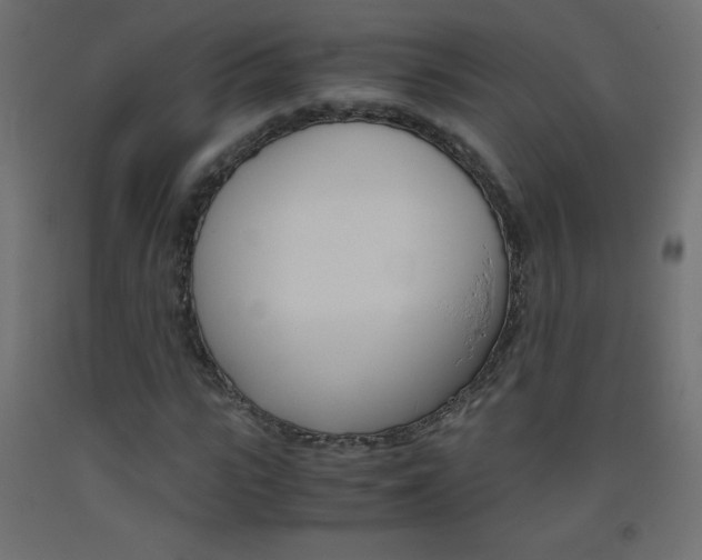 X0000093530919200710121146
