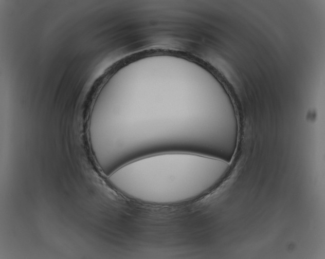 X0000093530923200710121146