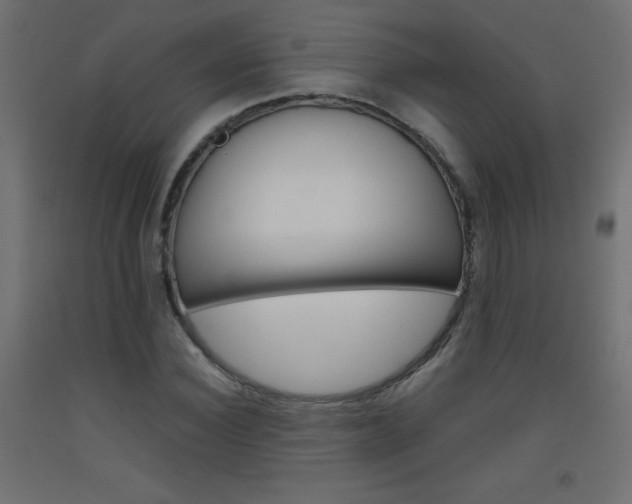 X0000093530924200710121146