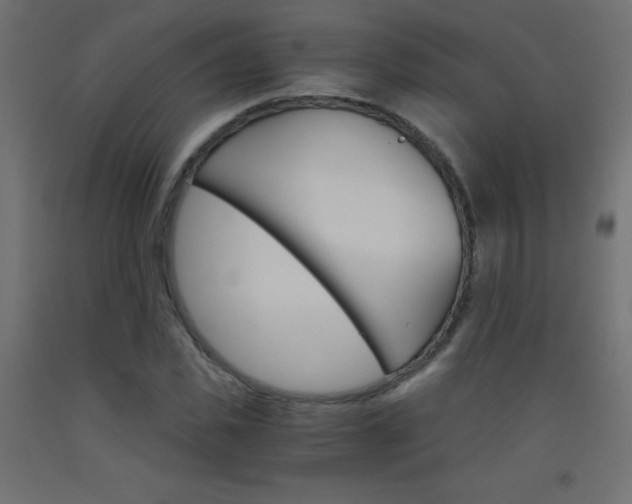 X0000093530925200710121146