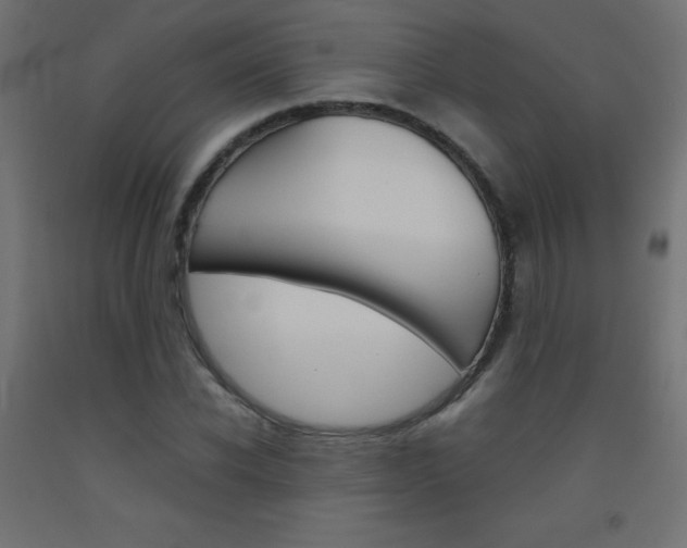 X0000093530926200710121146