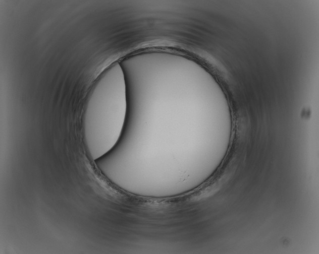 X0000093530929200710121146