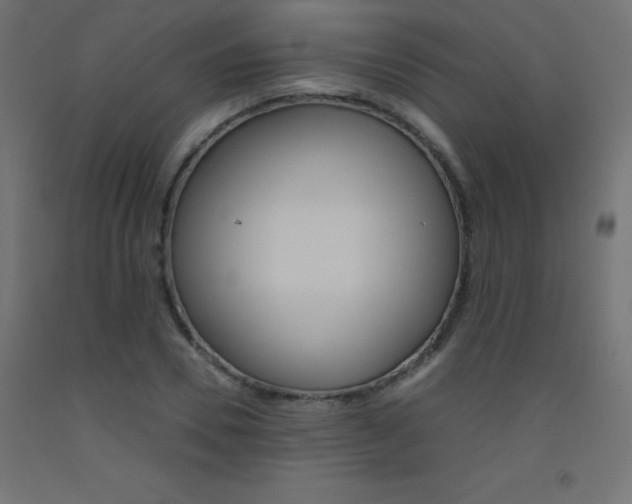 X0000093530930200710121146