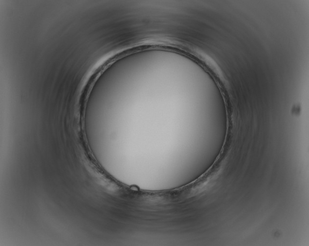 X0000093530931200710121146